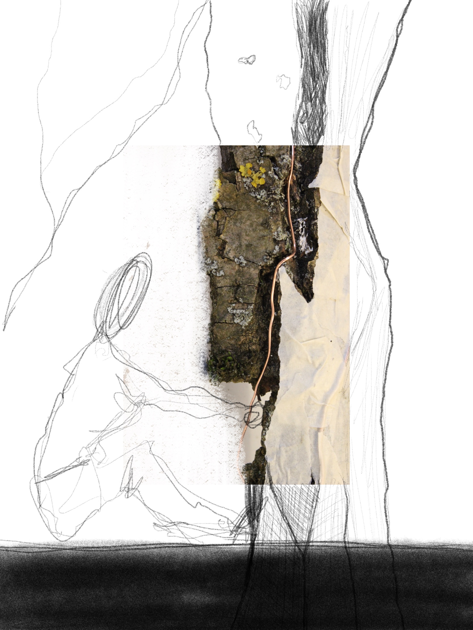 pencil sketch of a person sitting and touching an overlay photo of tree bark